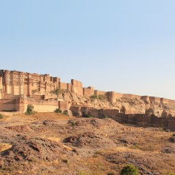 Dreaming of the Desert Sun in the ROM’s Basement